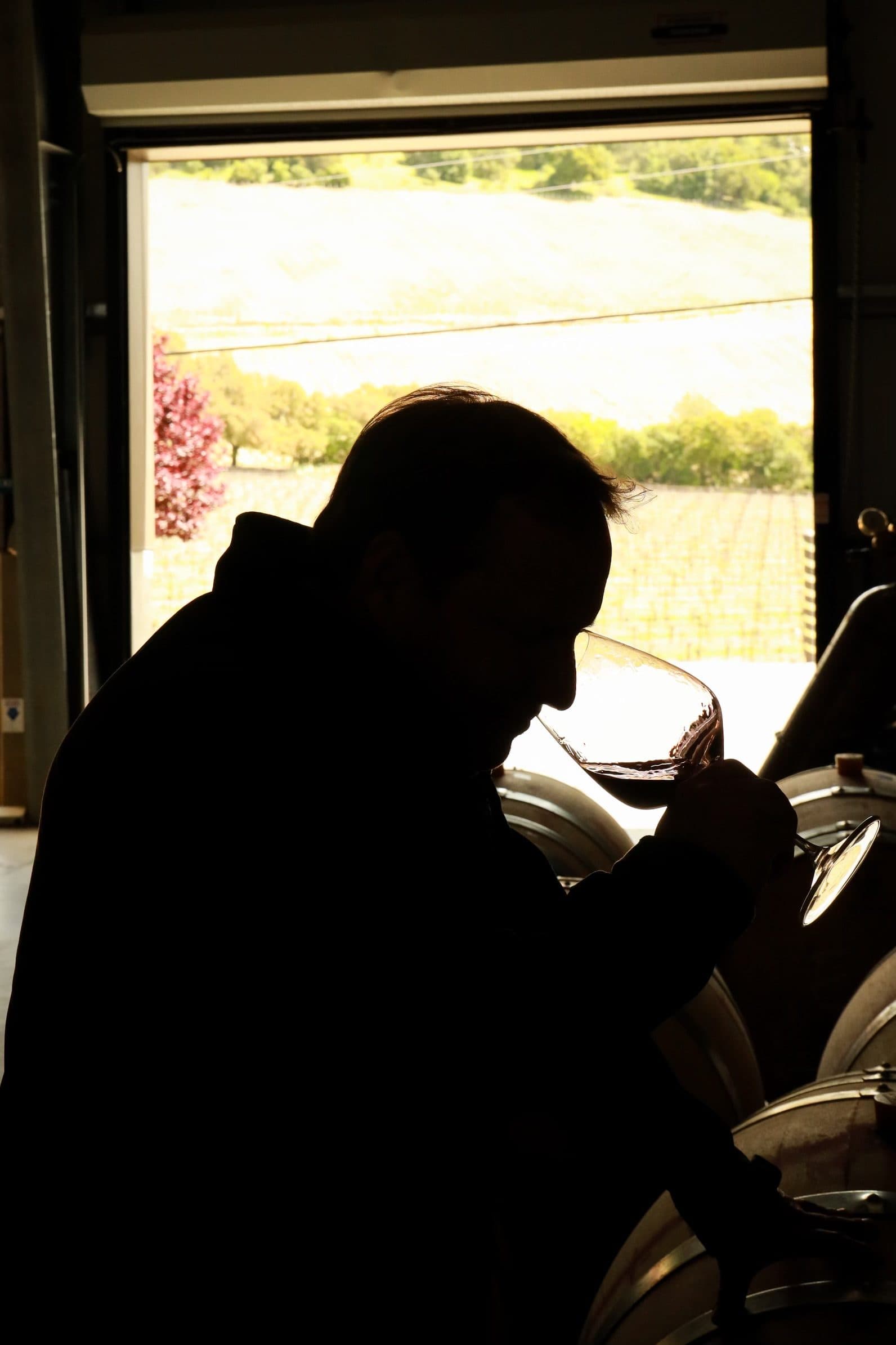Winemaker tasting in the cellar